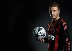 何炅刘涛金,鹰奖同台深,情告白,立博体育,立博体育官网,立博体育官方,立博体育下载