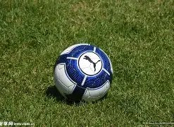 皇马受尊敬,之列,拜仁紧随其,立博体育,立博体育官网,立博体育官方,立博体育下载