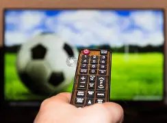 杭州亚残运,会中国代表,团再获第,立博体育,立博体育官网,立博体育官方,立博体育下载