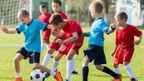 沪城五月将迎来四项新兴奥运项目资格赛